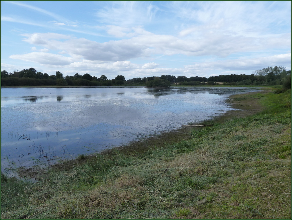 VX-P1280294.jpg      08/09/2019 14:51 ..  l' ETANG du domaine ou nous logeons