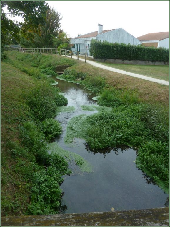 VX-P1280309.jpg      09/09/2019 17:19 ..  joli ruisseau dans la ville de Chantonnay