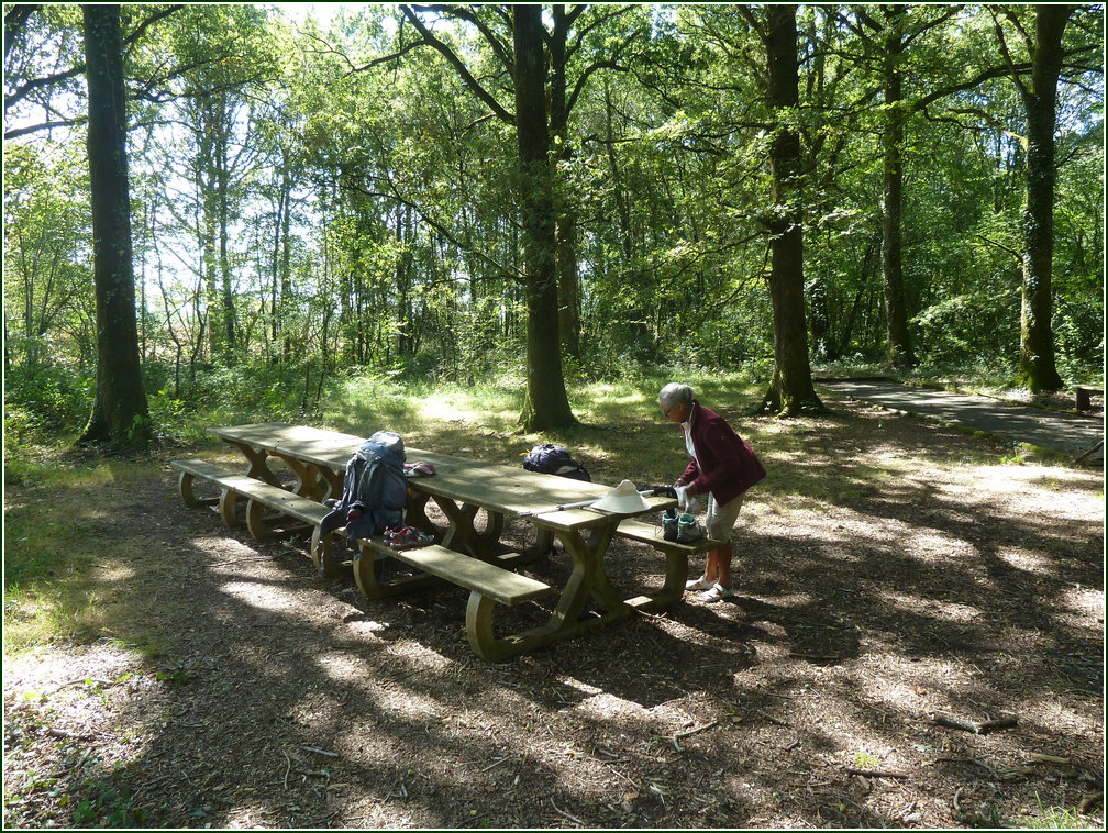 VX-P1280316.jpg      10/09/2019 13:40 ..  pic-nic sur une aire dans les bois sur route D10