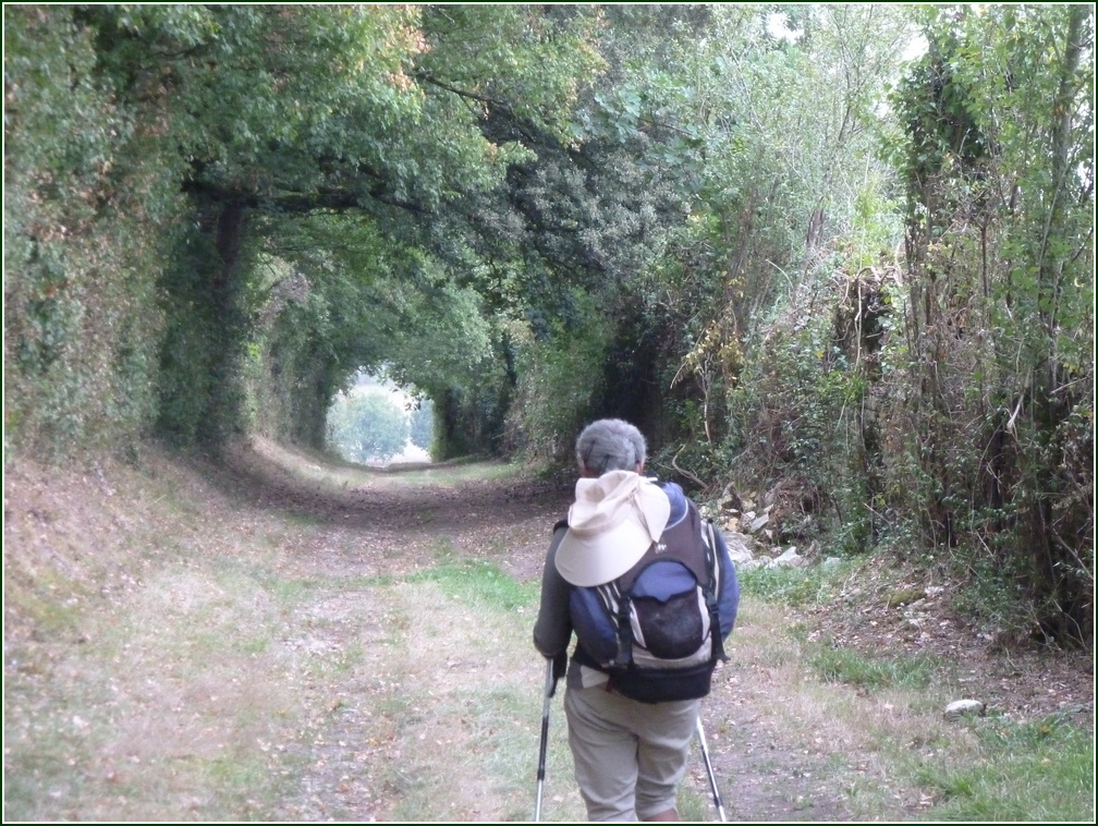 VX-P1280346.jpg      12/09/2019 08:16 ..  Chemin en tunnel de verdure , magnifique !