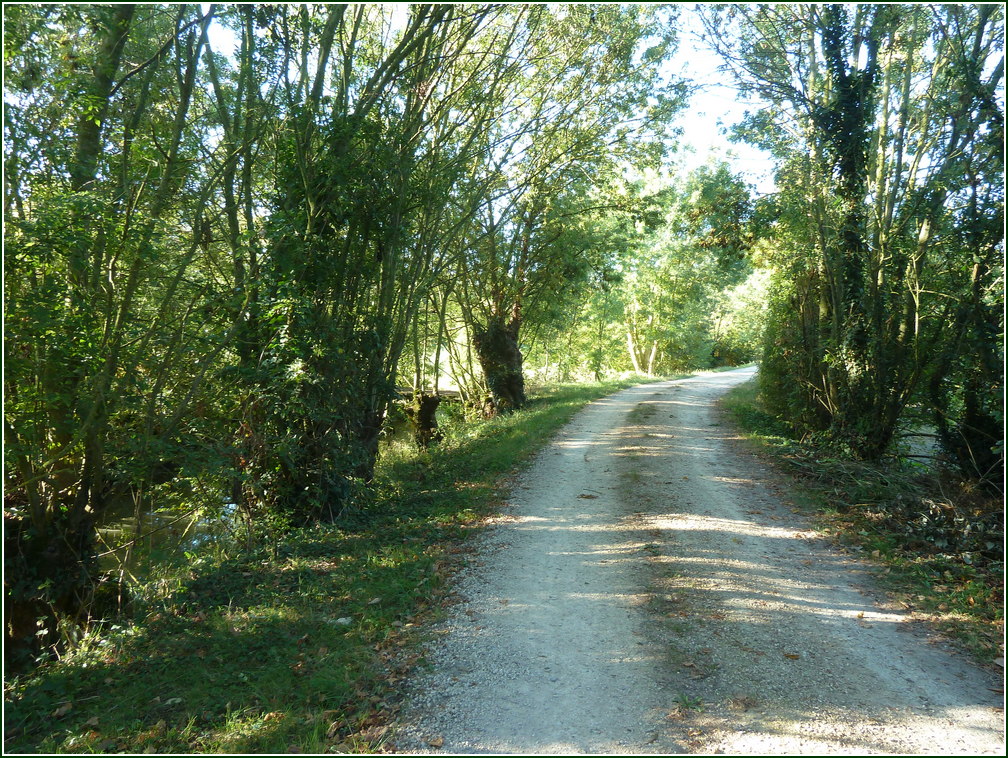 VX-P1280407.jpg      13/09/2019 09:04 ..  chemin le long d'un CANAL du Marais (2kms apres Maillezais)