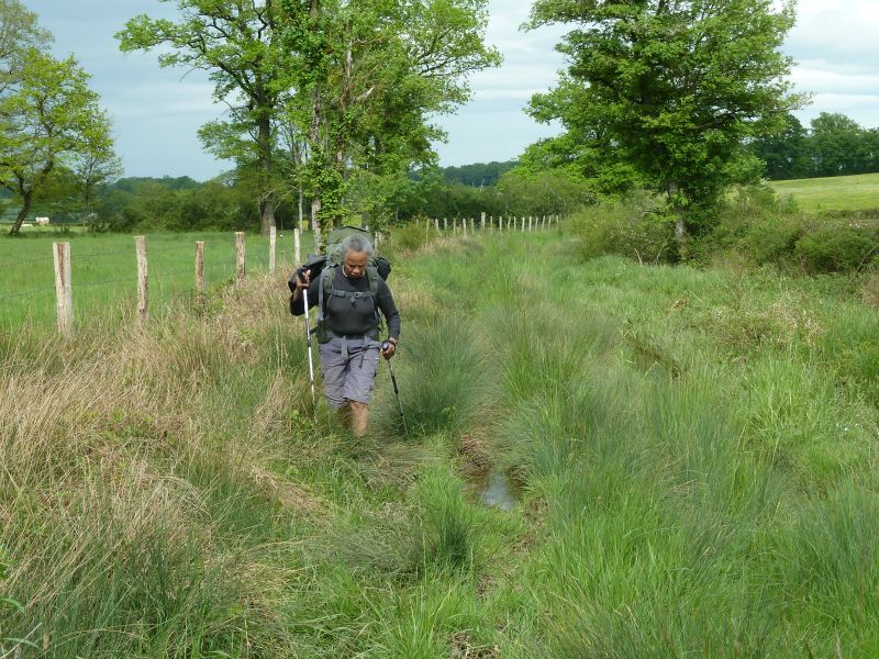 p1170105.jpg      08/05/2015 15:41     4923ko     Ah ! marcher dans les herbes hautes ! juste avant St-Reverien