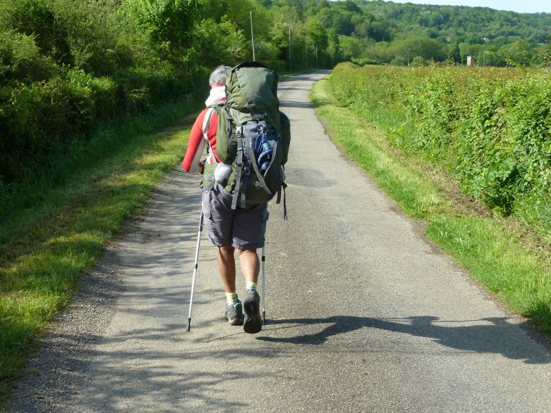 p1170155.jpg      10/05/2015 09:07     4814ko     le PELERIN sur la route, de son pas tranquille; pas de voiturs ici !