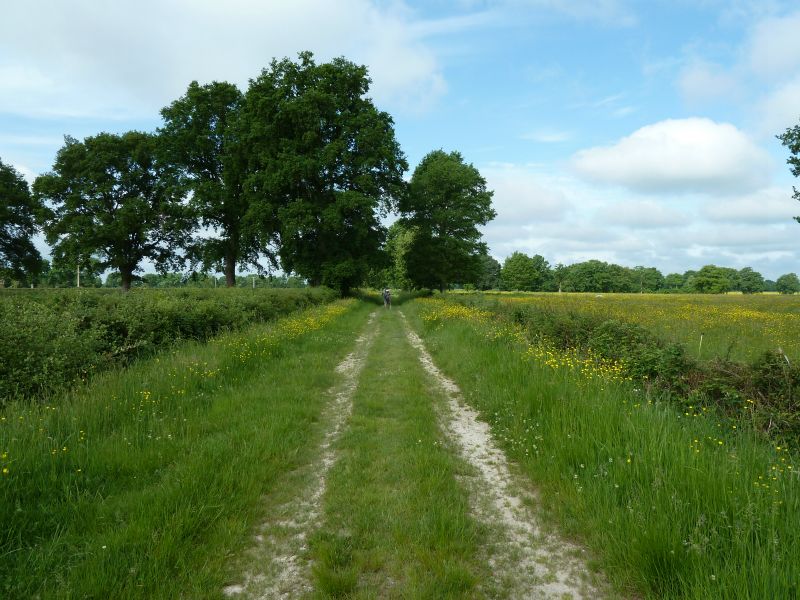 p1170328.jpg      14/05/2015 09:09     5066ko     beau chemin rectiligne et herbeux entre vALIGNY et BARBAIS  §MMDD24S