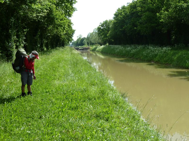 p1170386.jpg      15/05/2015 10:15     4913ko     on continue sur le canal, coté droit (ou Nord) au soleil maintenant !