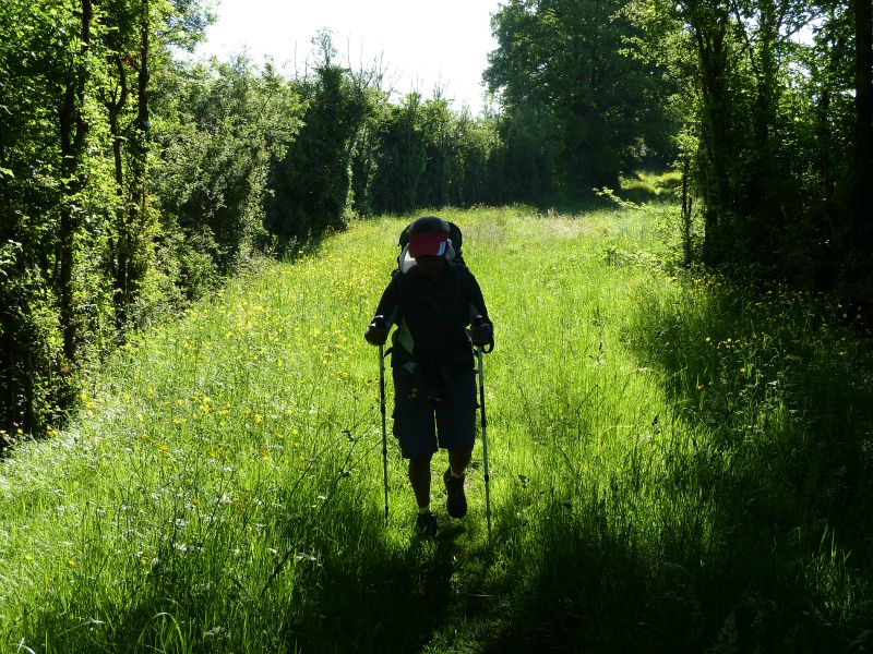 p1170502.jpg      18/05/2015 08:39     5203ko     encore dans les Hautes Herbes, ici peu après La Chatre !