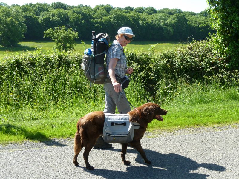 p1170516.jpg      18/05/2015 10:13     5252ko     nous retrouvons la Hollandaise PHYLLIS vers SARZAY