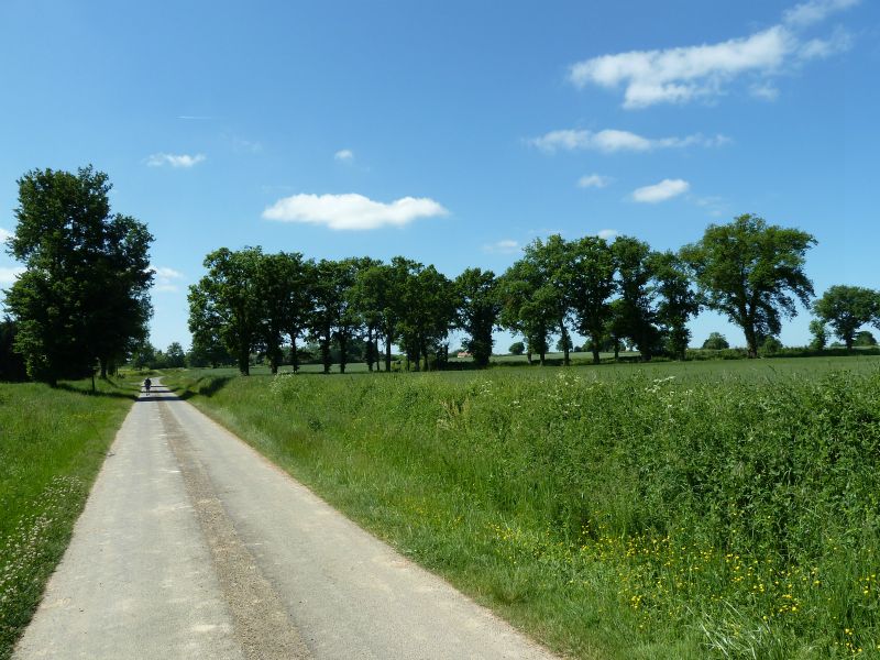 p1170521.jpg      18/05/2015 10:53     4563ko     solitude du pélerin sur ces longues routes droites