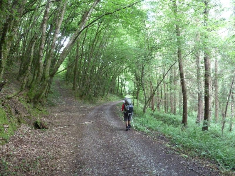 p1170639.jpg      20/05/2015 09:09     5423ko     chemin le long de la CREUSE