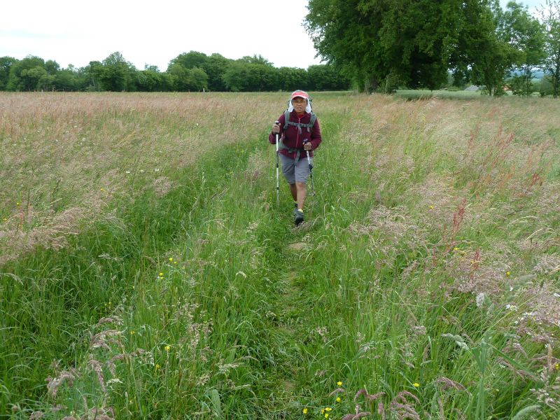 p1170736.jpg      21/05/2015 11:46     4785ko     A travers les herbes au panache rose , entre St-Germain et St-Agnan  §MMDD04T