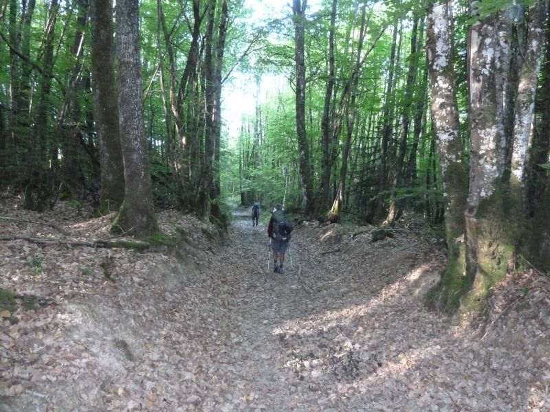 p1170838.jpg      23/05/2015 07:43     5092ko     chemin en foret (le Bois de l'Age) entre Benevent et Marsac.