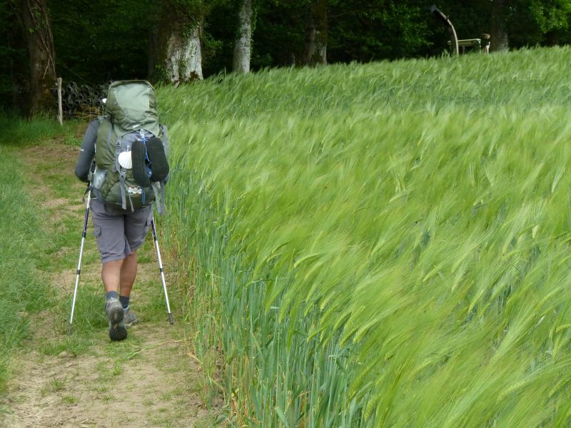 p1170923.jpg      24/05/2015 14:22     5223ko     dans les champs de blé, entre Lussac et Le Bragard  §MMDD11T