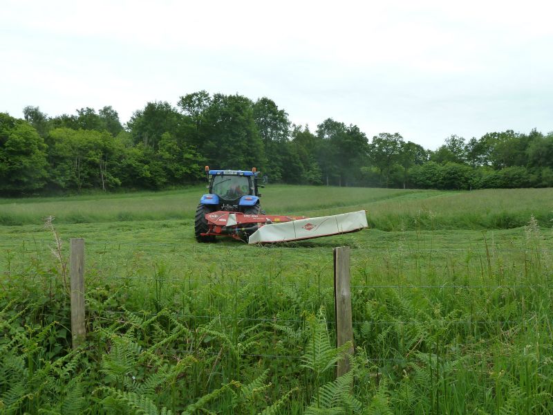 p1170976.jpg      25/05/2015 09:35     5122ko     travaux agricoles, fauchage du foin